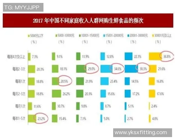 北京篮球队运营策略分析与市场影响深度解读 北京篮球队运营策略分析与市场影响深度解读