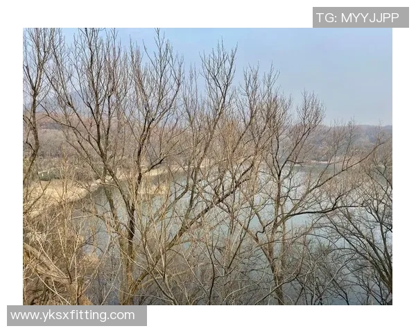 南京足球队选拔赛点评:比赛经验与表现的深度分析与反思 南京足球队选拔赛点评:比赛经验与表现的深度分析与反思